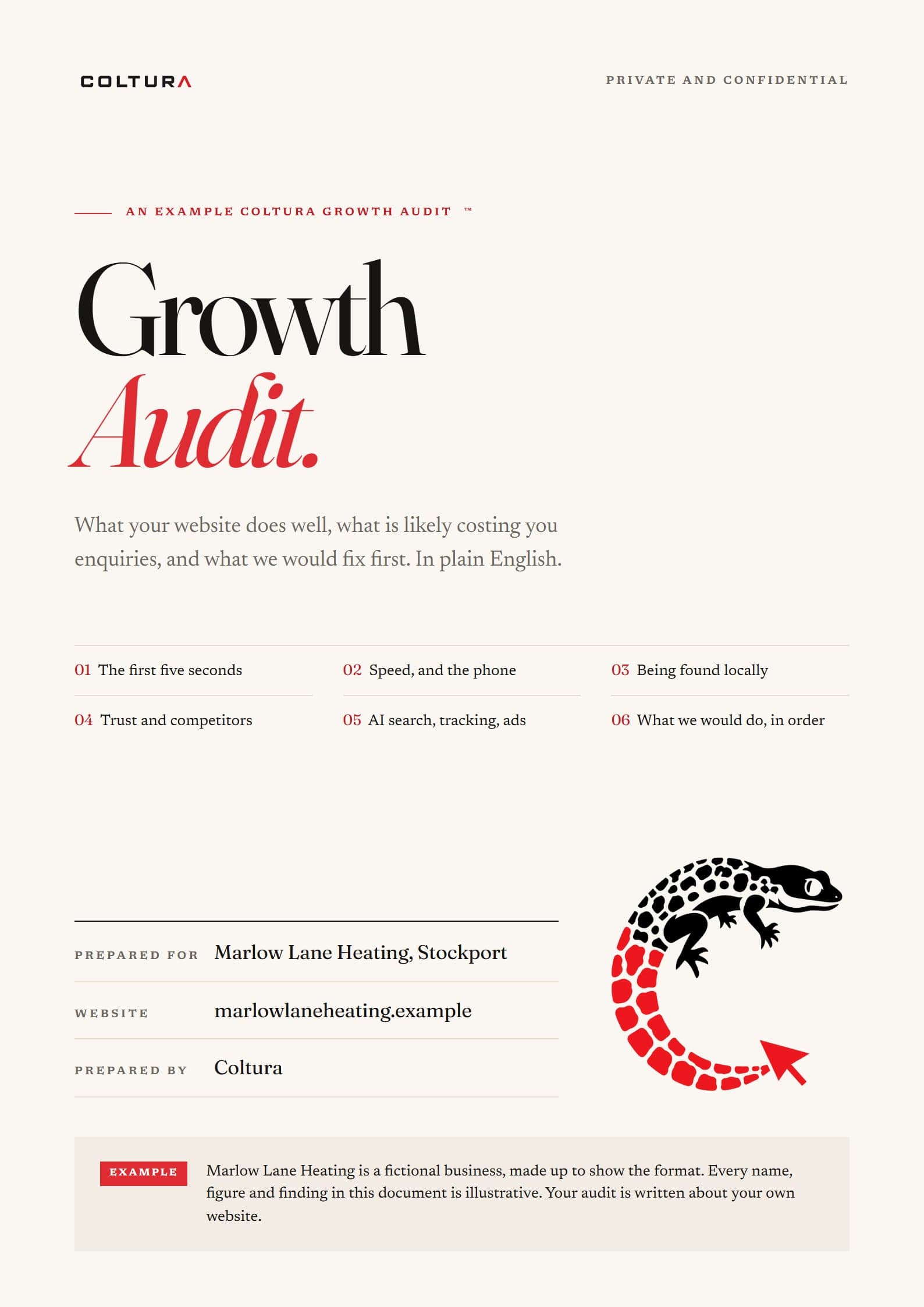 Coltura Growth Audit, page 1 of 8